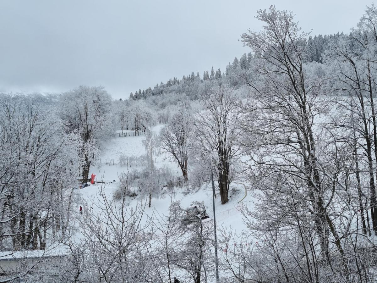 Moje Miejsce - Mieszkanie Z Duzym Tarasem Na Wylacznosc Karpacz Buitenkant foto